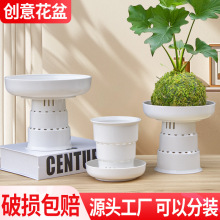 苔蘚球盆器跨境貨源廠家新款巴西木創意花盆塑料加厚透氣花盆批發