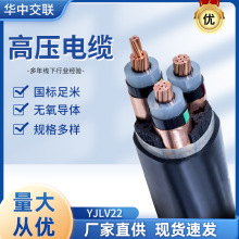 廠家批發YJV高壓電纜三芯塑料絕緣電力電線YJV22鋁芯銅芯多規可選