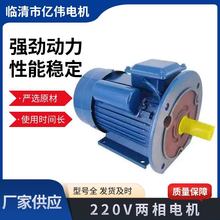 大功率兩相電機廠家 220V交流兩相電動機 防爆調速電機 變頻電機