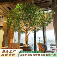仿真橄欖樹大型仿真綠植室內外景觀裝飾櫥窗軟裝造景仿真橄欖樹