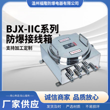 eJX增安防爆接線箱BJXJXB系列不銹鋼防爆接線箱IIB IIC防爆配電箱