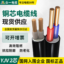 ZC-YJV電力電纜2芯*1.5/2.5/4/6/10/16/25/35/50/70平方 銅芯電線