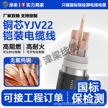 廠家直銷YJV鎧裝低壓電纜線3/4/5芯4/6/10平方電線國標銅芯電源線