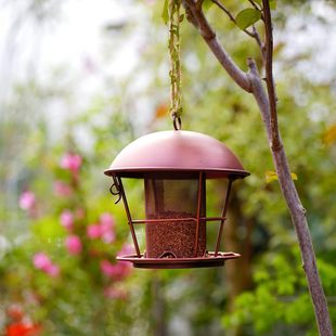 outdoor metal bird feeder RdوAιBFˇb