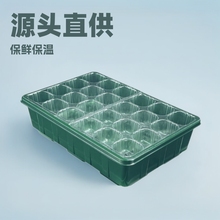 加大款育苗盒24孔12格保溫盒扦插多肉家用培育育苗盤綠植花卉果蔬