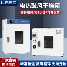 電熱恆溫鼓風干燥箱葯材烘干機小型高溫工業用烤箱商用醫院實驗室
