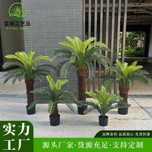 仿真蘇鐵盆景商場美陳造景工程裝飾室內外熱帶假植物環保人造鐵樹