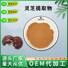靈芝提取物10:1 靈芝水溶粉 靈芝濃縮粉 靈芝粉 現貨 多種規格