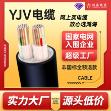 電線電纜純銅ZR-YJV2芯10～300平無氧銅戶外架空電力電纜線批發