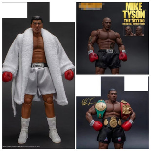 MikeTyson  ȭ̩ɭ STStorm ȭ Ʉ 1/12kģż