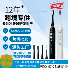 跨境三合一沖牙器聲波牙刷超聲波磁懸浮多功能電動牙刷源頭廠家