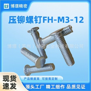 TFH-M3-12