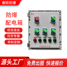 粉塵防爆配電箱接線檢修插座照明動力正壓櫃按鈕控制開關電源粉塵