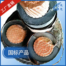 沈陽產國標MYJV MYJV22 MYJV32 MYJV42礦用電力電纜多少錢