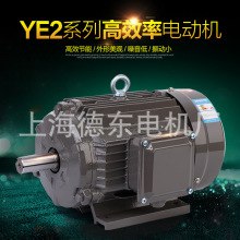 上海德東 YE2 160L-4 15KW 三相異步電動機 馬達