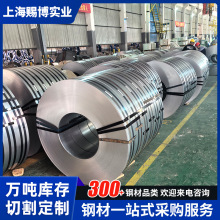 寶鋼冷軋卷冷軋盒板可開平冷軋卷冷軋鋼板DC03 DC04 DC06規格齊全