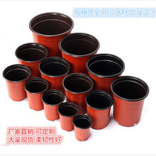 加厚PP雙色盆育苗盆 簡易塑料雙色花盆型號齊全 一次性雙色育苗盆