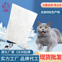 現貨寵物清潔抹布手套寵物用品一次性貓咪家居清潔無紡布手套批發