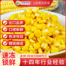 冷凍玉米速凍水果玉米粒 餐飲用冰凍FD玉米粒 批發速凍甜玉米粒