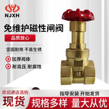 免維護磁性閘閥防盜法蘭軟密封加密球墨鑄鐵鎖閉