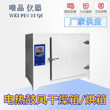 高溫恆溫干燥箱 工業烤箱300度500度℃ 電熱鼓風烘箱 實驗室烤箱