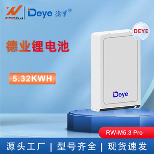 IDeye 51.2V100AH 5.32KWHF늳RW-M5.3 Pro