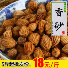 香砂500g沙仁金砂仁四川特產川砂仁燉肉鹵菜調料香料大全批發