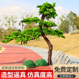 仿真松樹迎客松假樹商場酒店裝飾羅漢松造景落地室內展廳玄關擺件