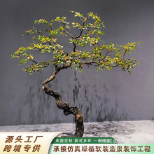 精品海島春花仿真綠植室內裝飾造景擺件仿生植物中式景觀海島春花