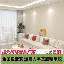 加厚牆布無縫全屋電視背景牆紙客廳壁布2025新款卧室牆布包安裝