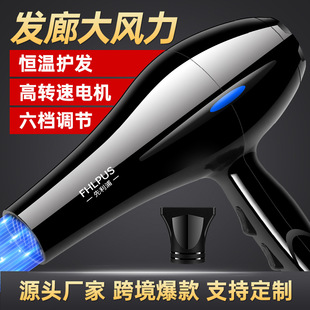 羳LC늴LRdWҎ110VҎӢҎLͲhair dryer