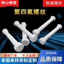 加工四氟螺桿螺栓四氟異型件四氟零件四氟絕緣子圓柱頭內六角螺絲
