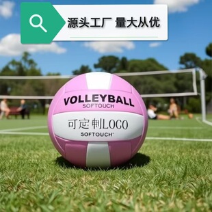 4ӺPVCCp5̖пِVolleyball