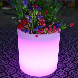 eabyl⻨W羳pݶLED flower pot light