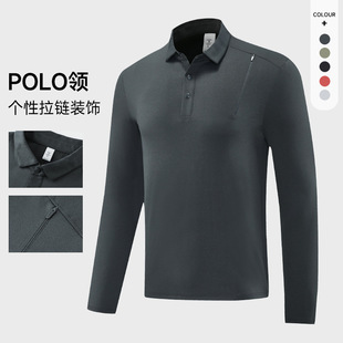 ¿POLO\Lд＾̄eͨڴItb