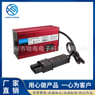 美國高爾夫球車充電器 48V12A雅馬哈 YAMAHA G19 G22 帶LED雙顯示
