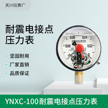 電接點壓力表YNXC100耐震磁助式徑向標准螺紋M20*1.5觸點電壓30VA