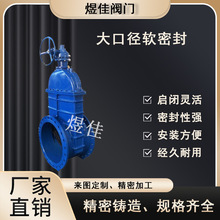 廠家供應軟密封閘閥 Z45X球墨鑄鐵法蘭閘閥大口徑軟密封閘閥