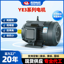 YE3電機 超高效節能三相異步電動機 風機水泵空壓機專用
