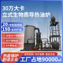 加工定制30w大卡立式生物質導熱油鍋爐燃煤生物質鍋爐廠家