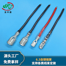 6.3自鎖插簧端子線汽車喇叭連接線電器內部插簧線燈具線束連接線