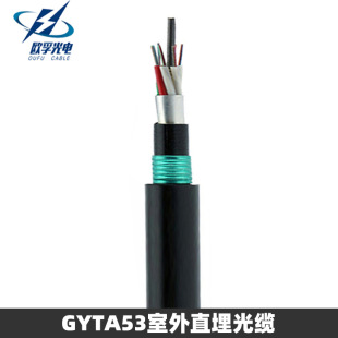 GYTA53-4B1/B1.3ӽgpzpoֱ| 6о8оģwz