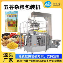 廠家直銷 全自動大米包裝機 豆類五谷雜糧顆粒立式抽真空分裝設備