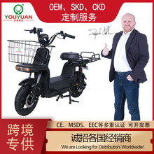 廠家批發電動車客貨兩用電瓶車外賣送貨電動自行車跨境