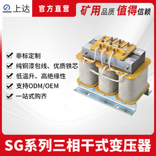 SGϵʽ׃SG-4.0KVA ׃