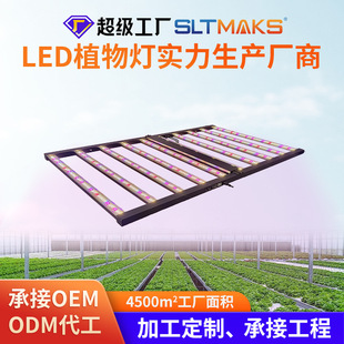 ޶LEDֲ1200W߹o{Lֲ