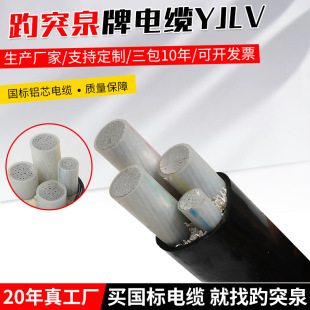 廠家供應10KV15KV35KV電纜保檢3*70/95/120鋁芯YJLV22國標電纜