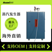 電加熱蒸汽發生器304不銹鋼內膽工業商用電鍋爐搭干洗店熨燙台用