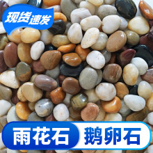 鵝暖石50斤鋪路鋪地庭院花園魚缸造景足底按摩五彩天然雨花石原石