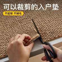入戶門地墊純色仿劍麻地毯門墊進門大門口玄關客廳地毯腳墊可裁剪